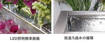 LED照明標準装備 / LED照明標準装備